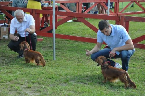 Czternasta wsp�lna super wystawa NA’ILI i NABILI Kollapsar